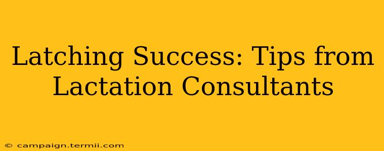 Latching Success: Tips from Lactation Consultants