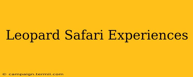 Leopard Safari Experiences