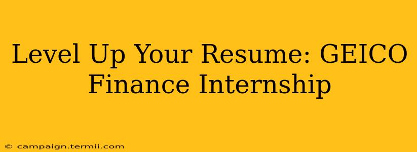 Level Up Your Resume: GEICO Finance Internship