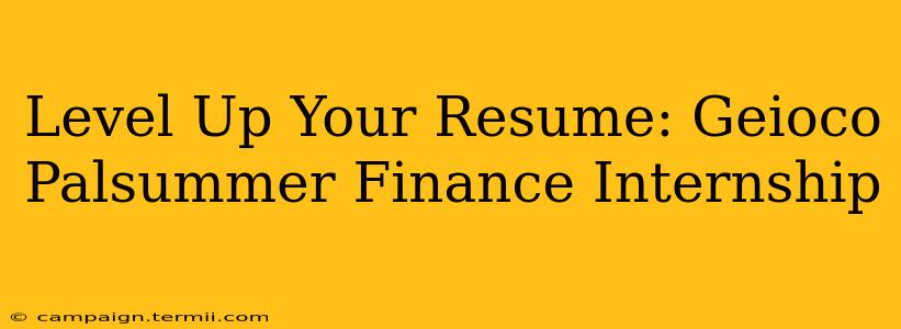 Level Up Your Resume: Geioco Palsummer Finance Internship