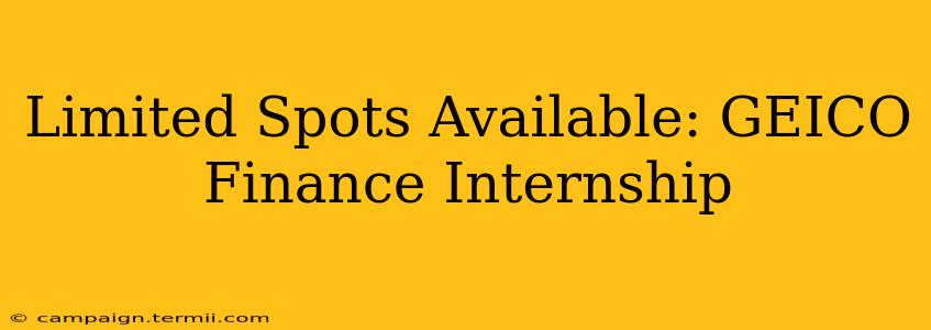 Limited Spots Available: GEICO Finance Internship