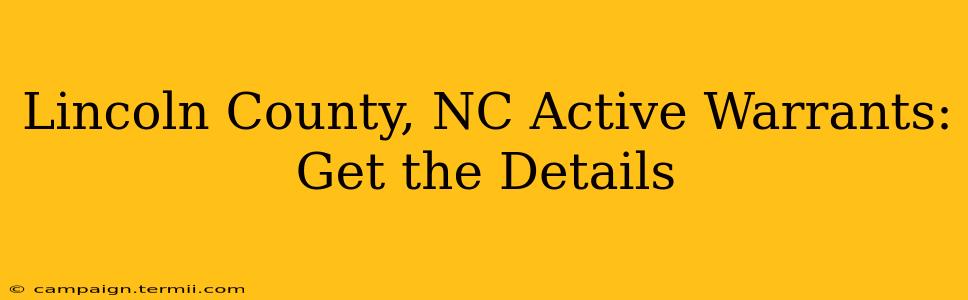 Lincoln County, NC Active Warrants: Get the Details