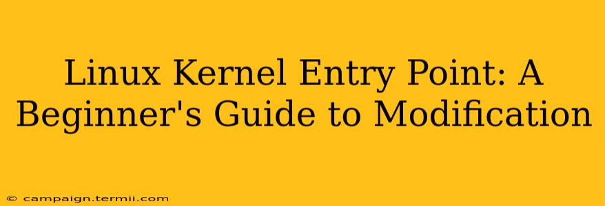 Linux Kernel Entry Point: A Beginner's Guide to Modification