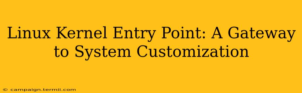 Linux Kernel Entry Point: A Gateway to System Customization