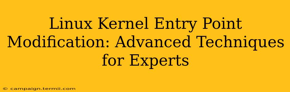 Linux Kernel Entry Point Modification: Advanced Techniques for Experts