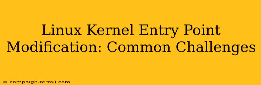 Linux Kernel Entry Point Modification: Common Challenges