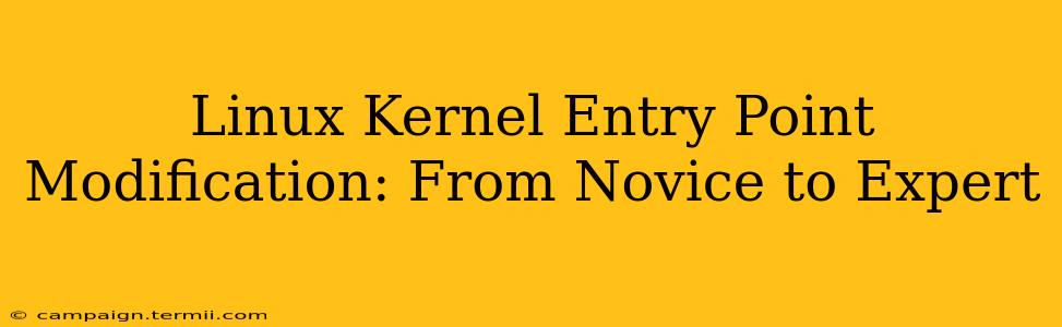 Linux Kernel Entry Point Modification: From Novice to Expert