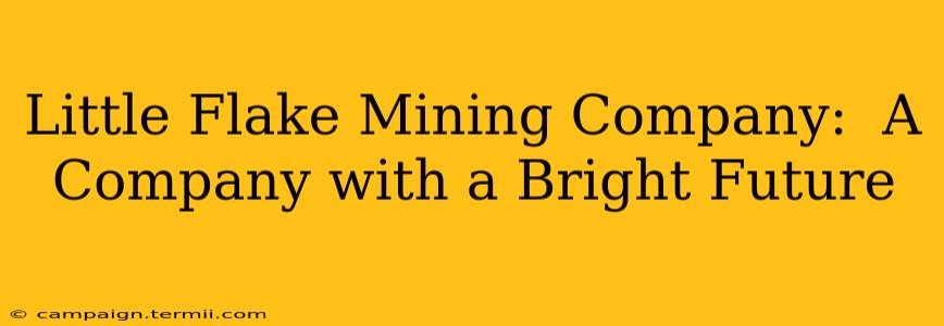 Little Flake Mining Company:  A Company with a Bright Future