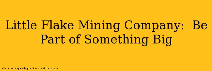 Little Flake Mining Company:  Be Part of Something Big