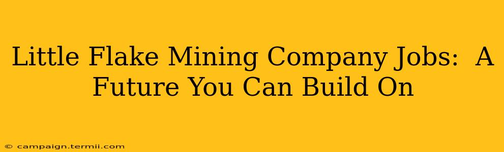 Little Flake Mining Company Jobs:  A Future You Can Build On