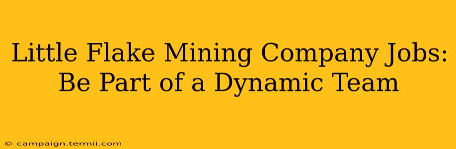 Little Flake Mining Company Jobs:  Be Part of a Dynamic Team