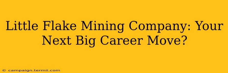 Little Flake Mining Company: Your Next Big Career Move?