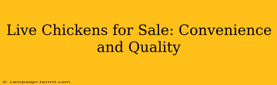 Live Chickens for Sale: Convenience and Quality