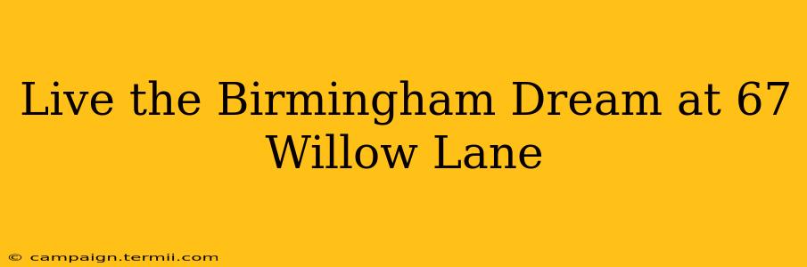 Live the Birmingham Dream at 67 Willow Lane