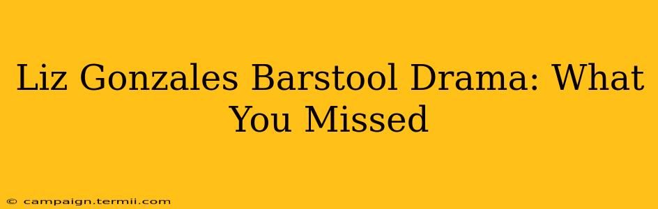 Liz Gonzales Barstool Drama: What You Missed