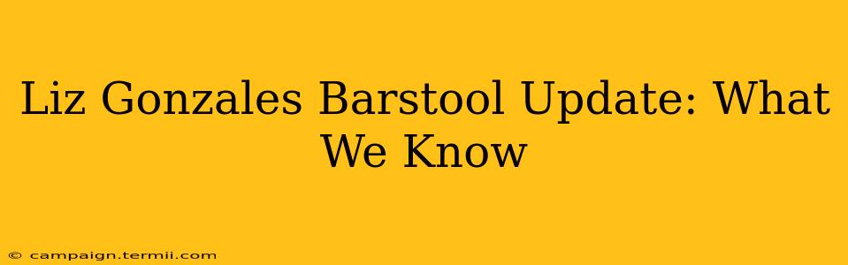 Liz Gonzales Barstool Update: What We Know