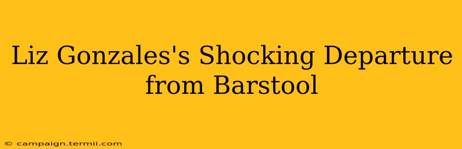 Liz Gonzales's Shocking Departure from Barstool