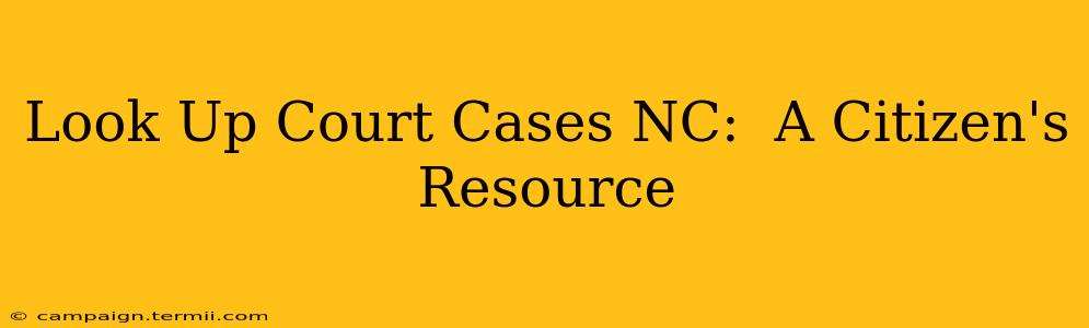 Look Up Court Cases NC:  A Citizen's Resource