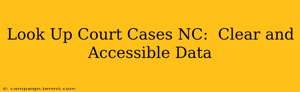 Look Up Court Cases NC:  Clear and Accessible Data