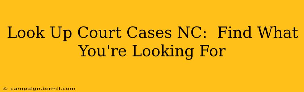 Look Up Court Cases NC:  Find What You're Looking For