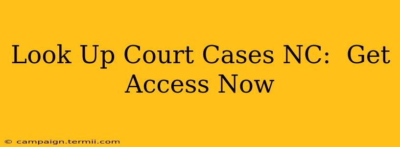 Look Up Court Cases NC:  Get Access Now