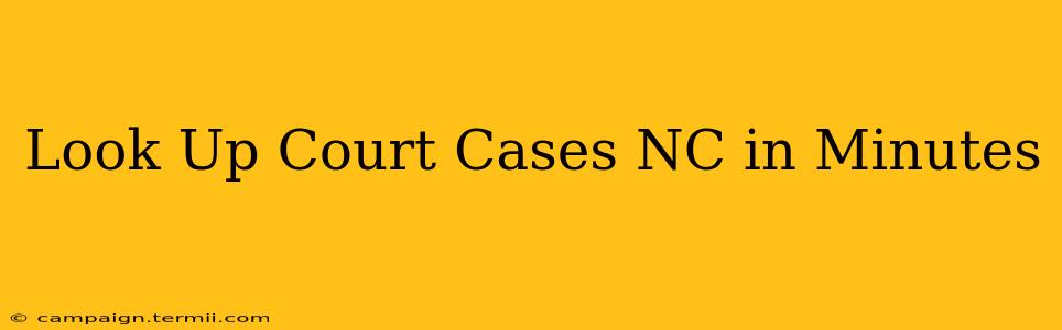 Look Up Court Cases NC in Minutes