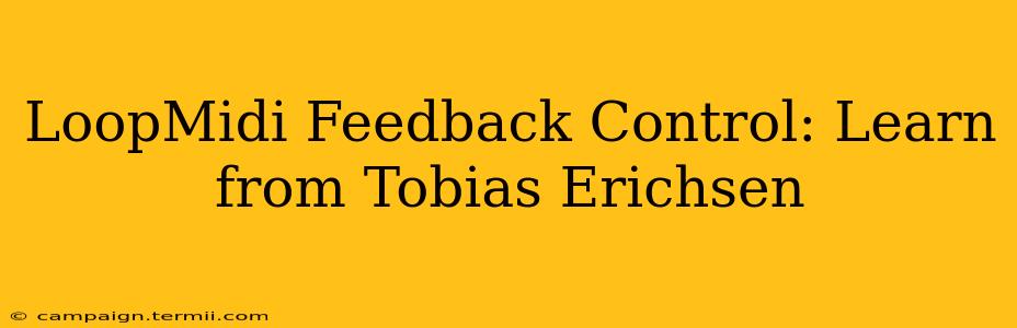 LoopMidi Feedback Control: Learn from Tobias Erichsen