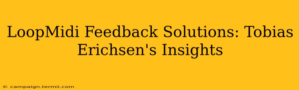 LoopMidi Feedback Solutions: Tobias Erichsen's Insights