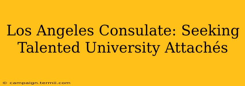 Los Angeles Consulate: Seeking Talented University Attachés