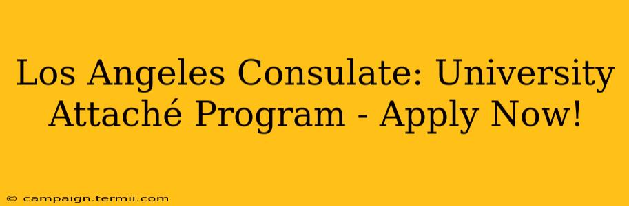 Los Angeles Consulate: University Attaché Program - Apply Now!