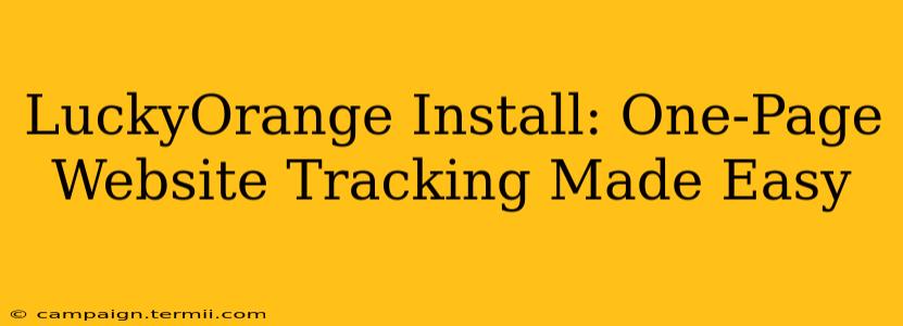 LuckyOrange Install: One-Page Website Tracking Made Easy