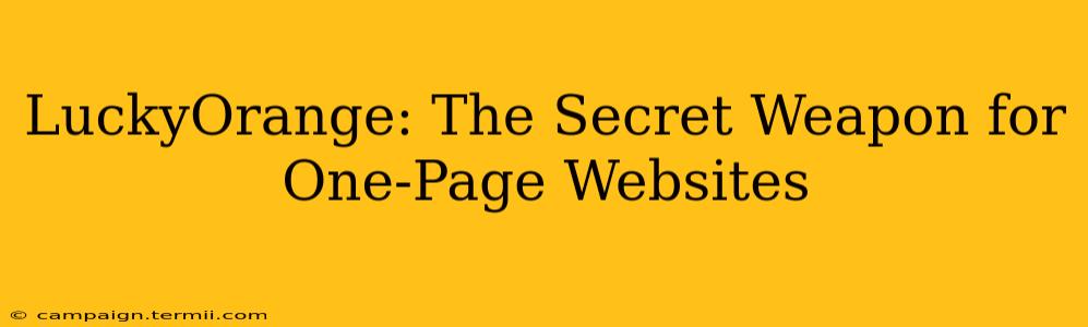 LuckyOrange: The Secret Weapon for One-Page Websites