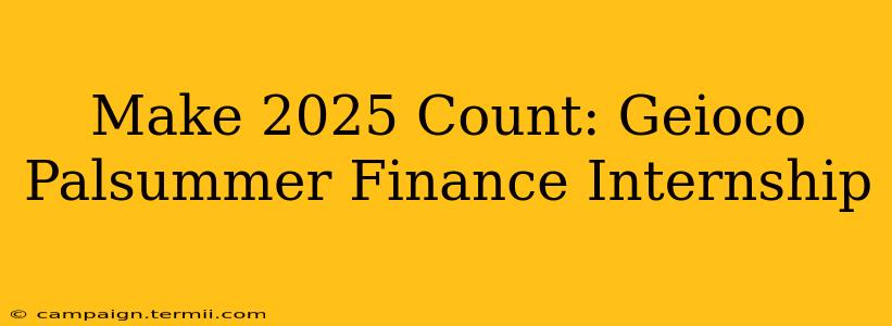 Make 2025 Count: Geioco Palsummer Finance Internship