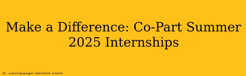 Make a Difference: Co-Part Summer 2025 Internships