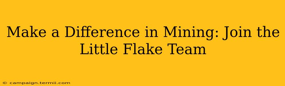 Make a Difference in Mining: Join the Little Flake Team