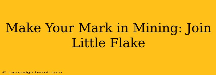 Make Your Mark in Mining: Join Little Flake