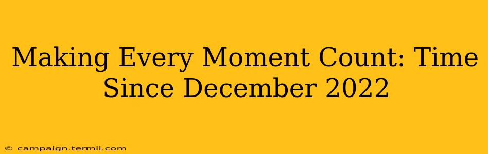 Making Every Moment Count: Time Since December 2022