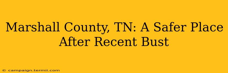 Marshall County, TN: A Safer Place After Recent Bust