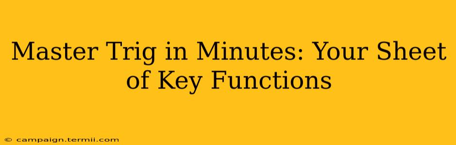 Master Trig in Minutes: Your Sheet of Key Functions