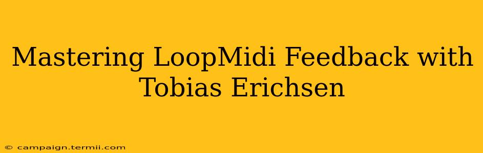 Mastering LoopMidi Feedback with Tobias Erichsen