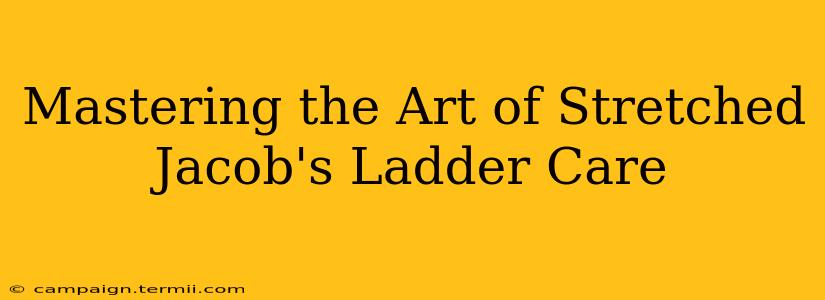 Mastering the Art of Stretched Jacob's Ladder Care