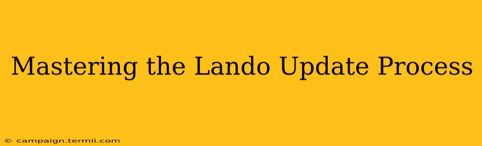 Mastering the Lando Update Process