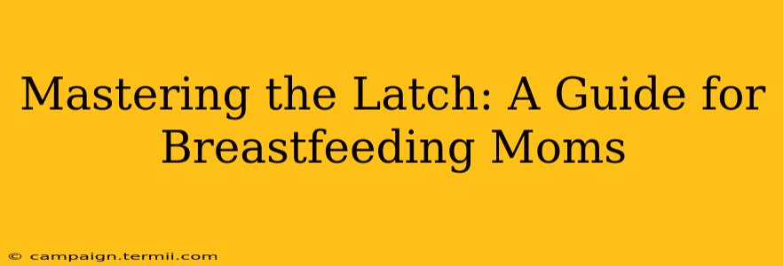 Mastering the Latch: A Guide for Breastfeeding Moms