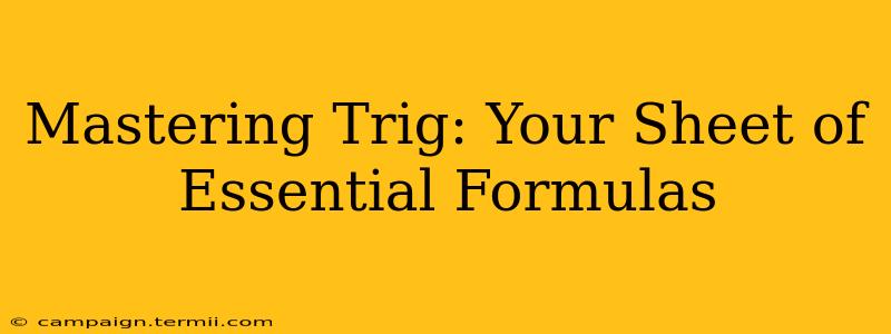 Mastering Trig: Your Sheet of Essential Formulas