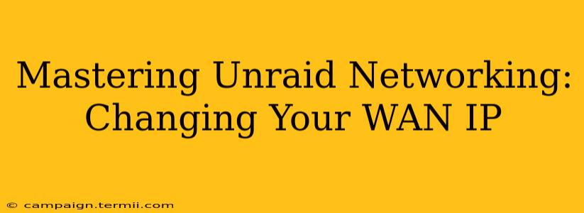 Mastering Unraid Networking: Changing Your WAN IP