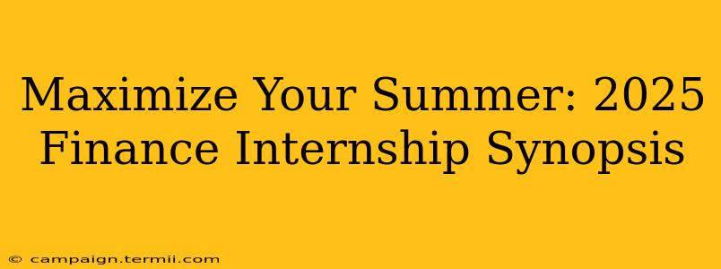 Maximize Your Summer: 2025 Finance Internship Synopsis