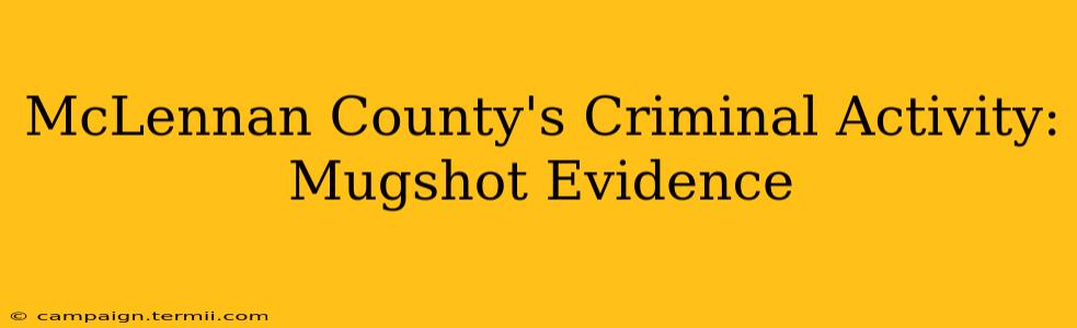 McLennan County's Criminal Activity: Mugshot Evidence