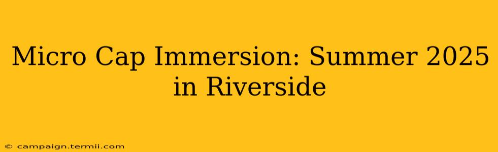 Micro Cap Immersion: Summer 2025 in Riverside