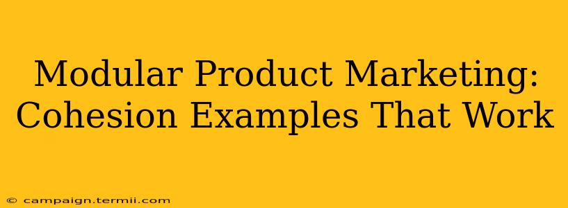 Modular Product Marketing: Cohesion Examples That Work