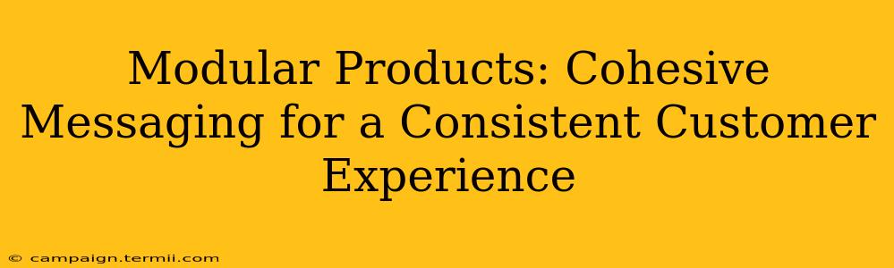 Modular Products: Cohesive Messaging for a Consistent Customer Experience